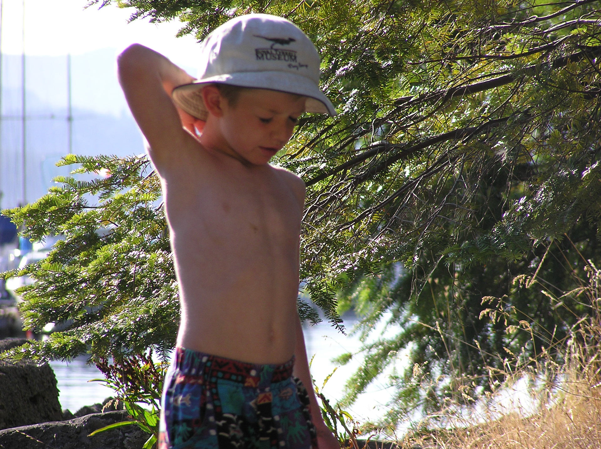 OLYMPUS DIGITAL CAMERA