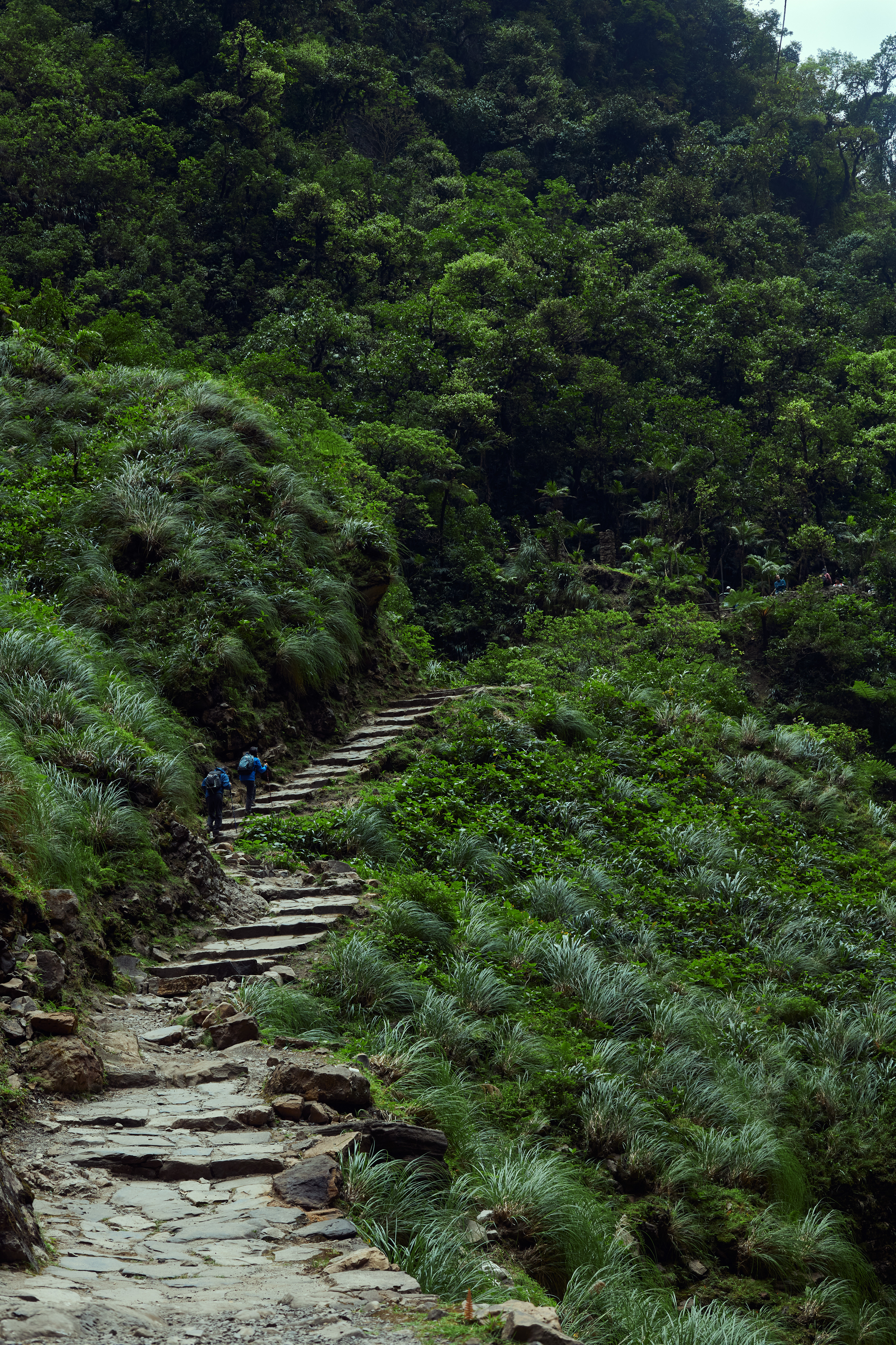 Gocta, Perú