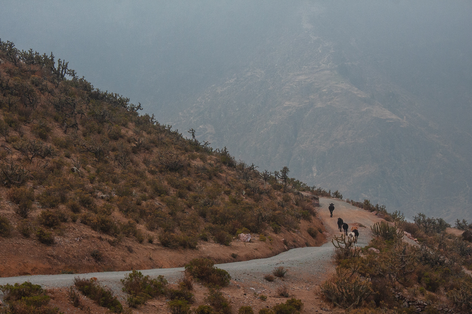 Marcahuasi, Perú