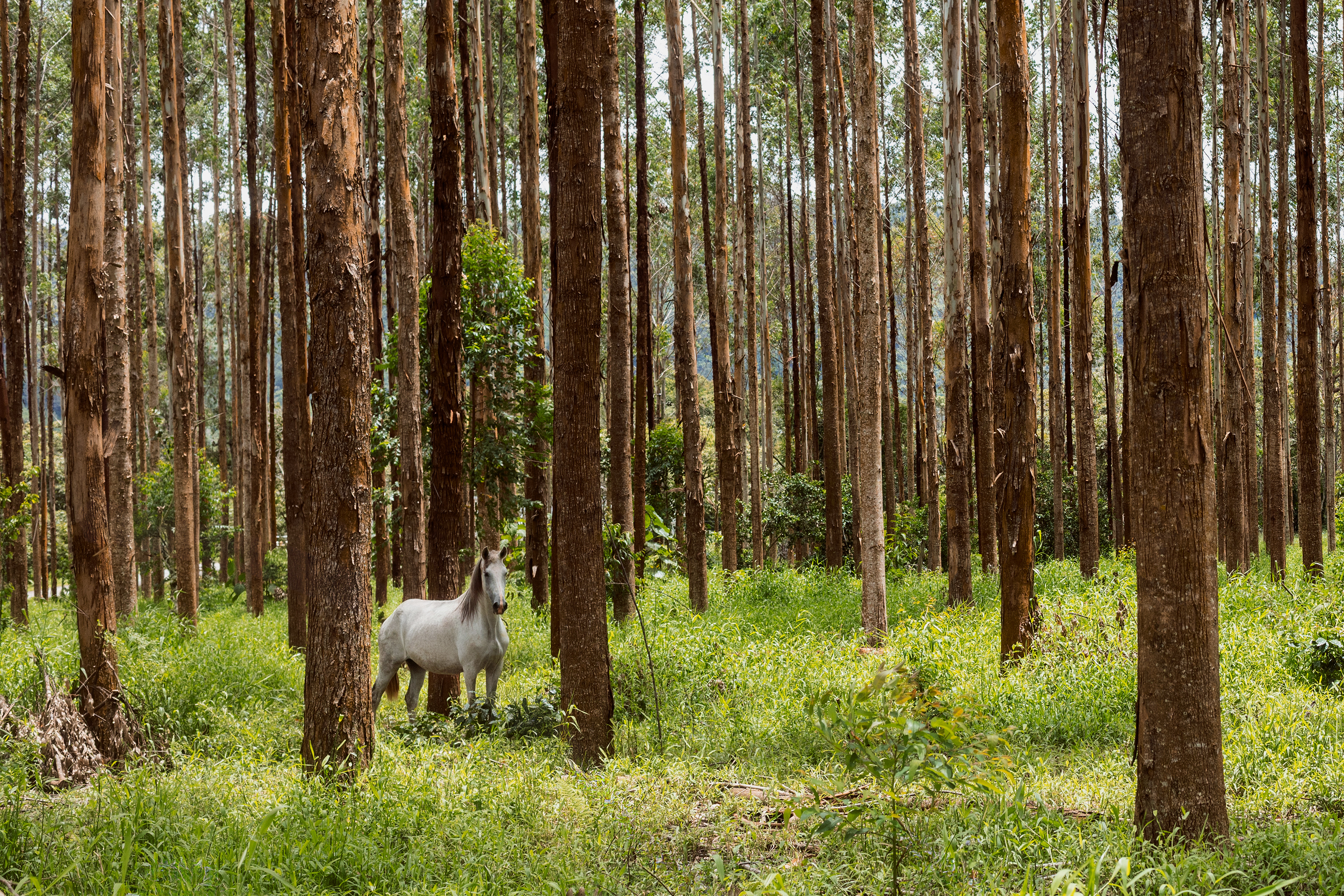 Oxapampa, Peru