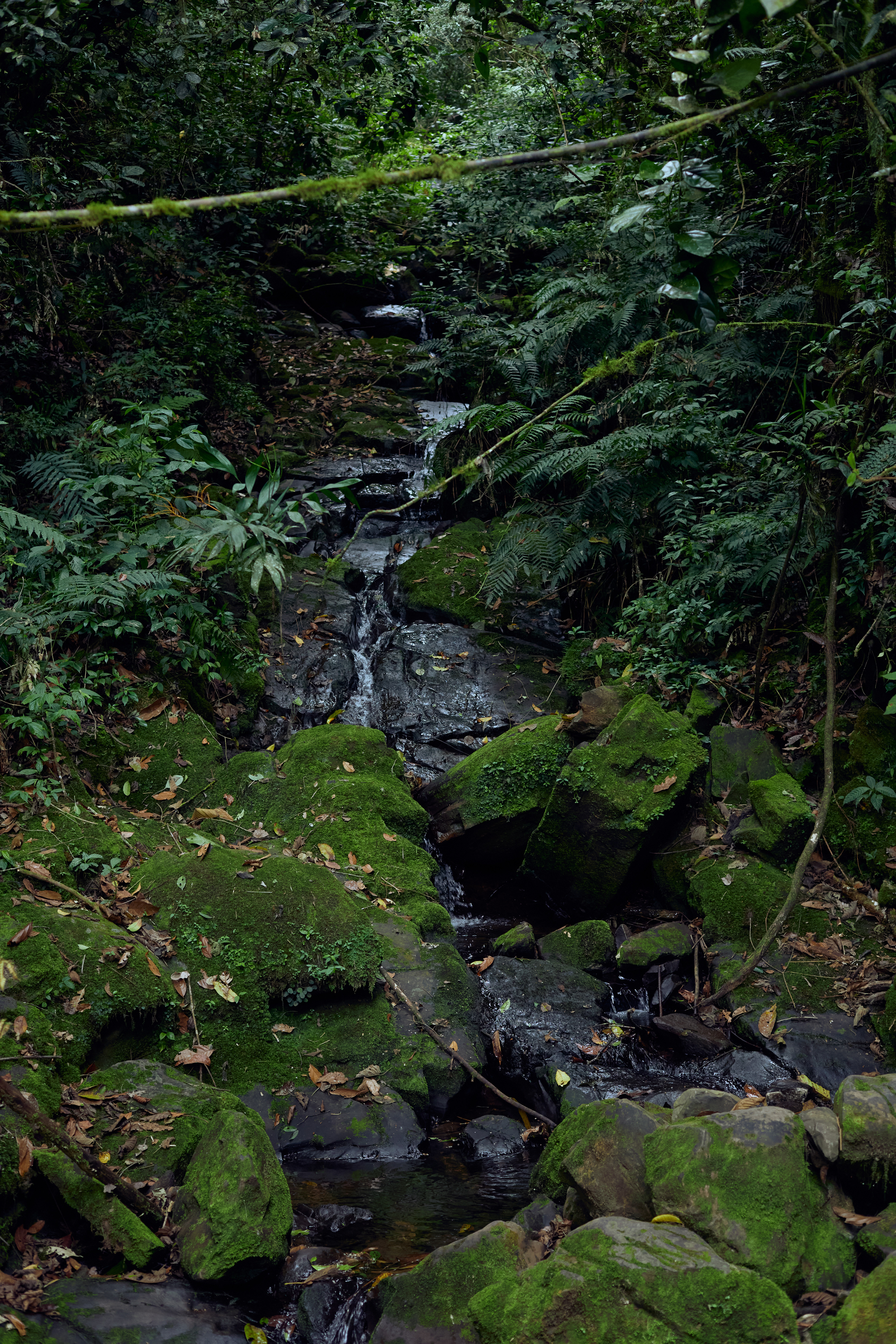 Gocta, Perú