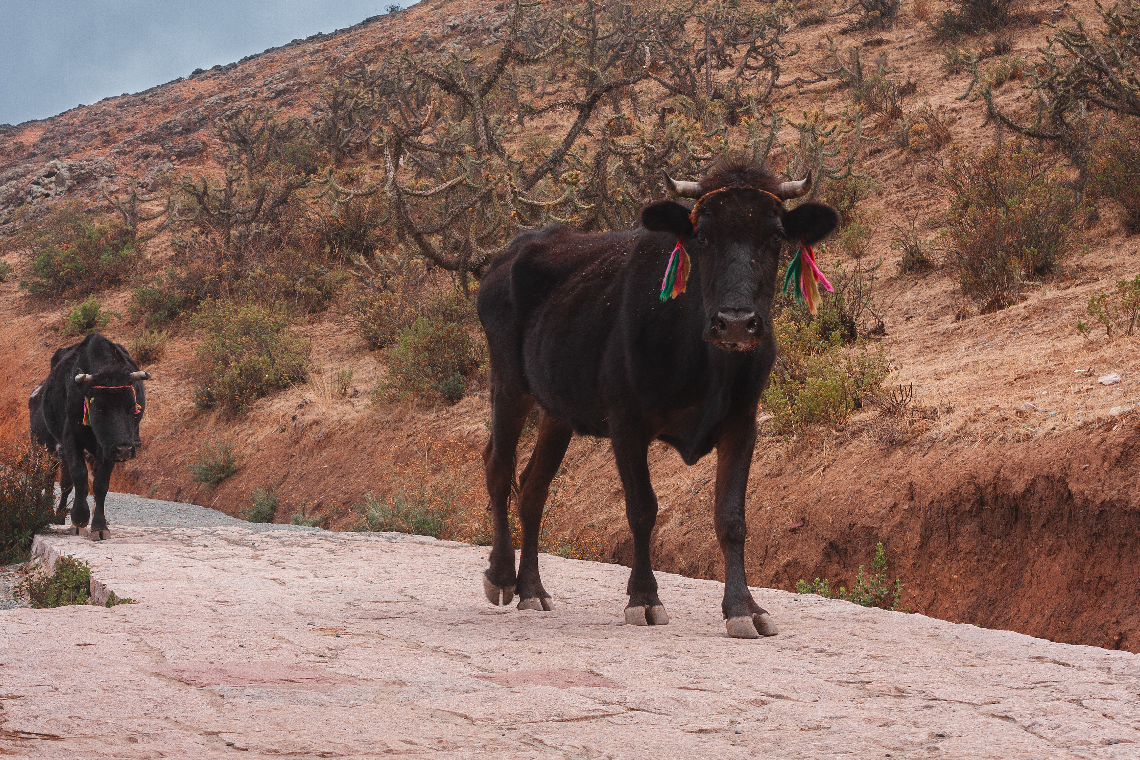 Marcahuasi, Perú