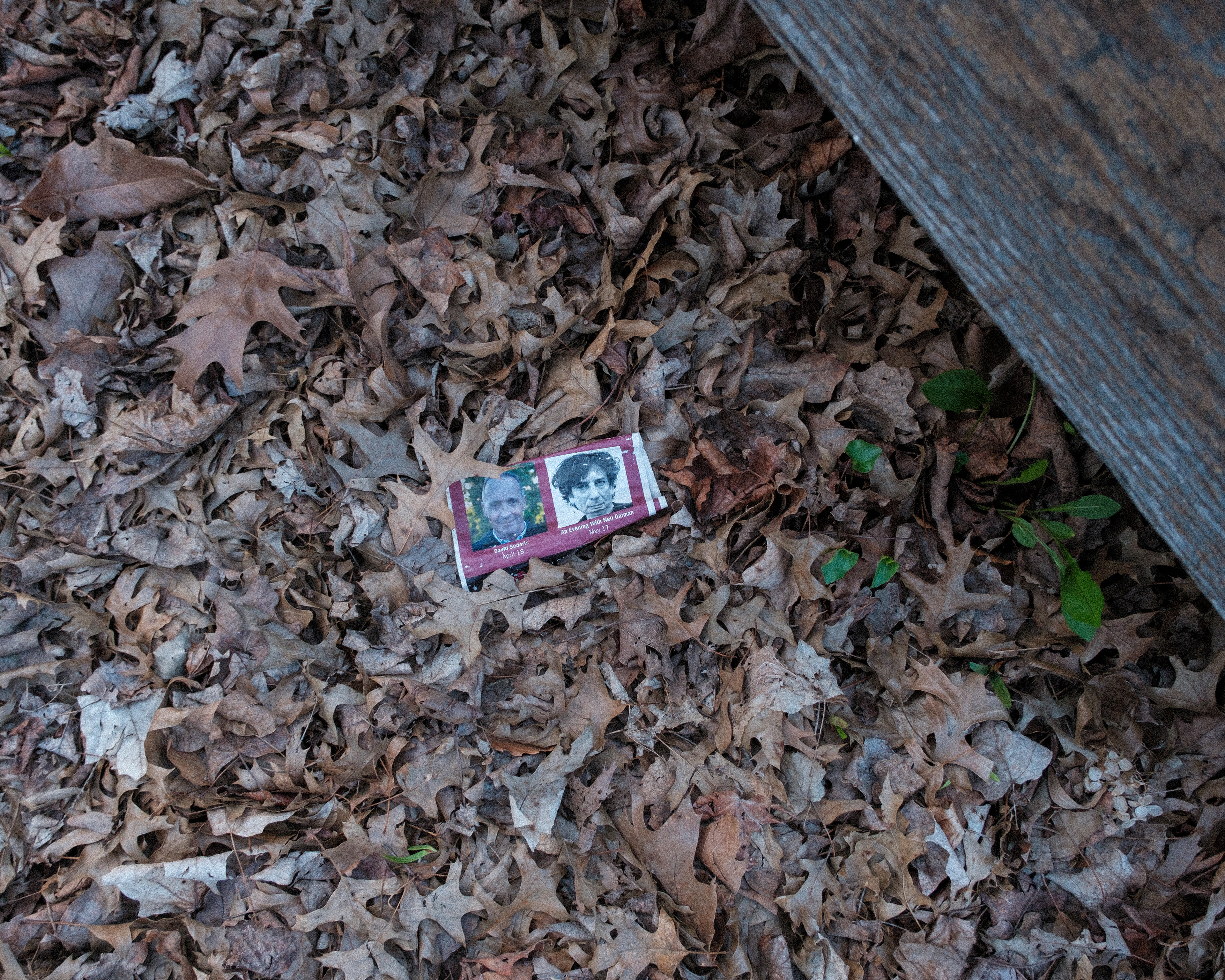 lost faces