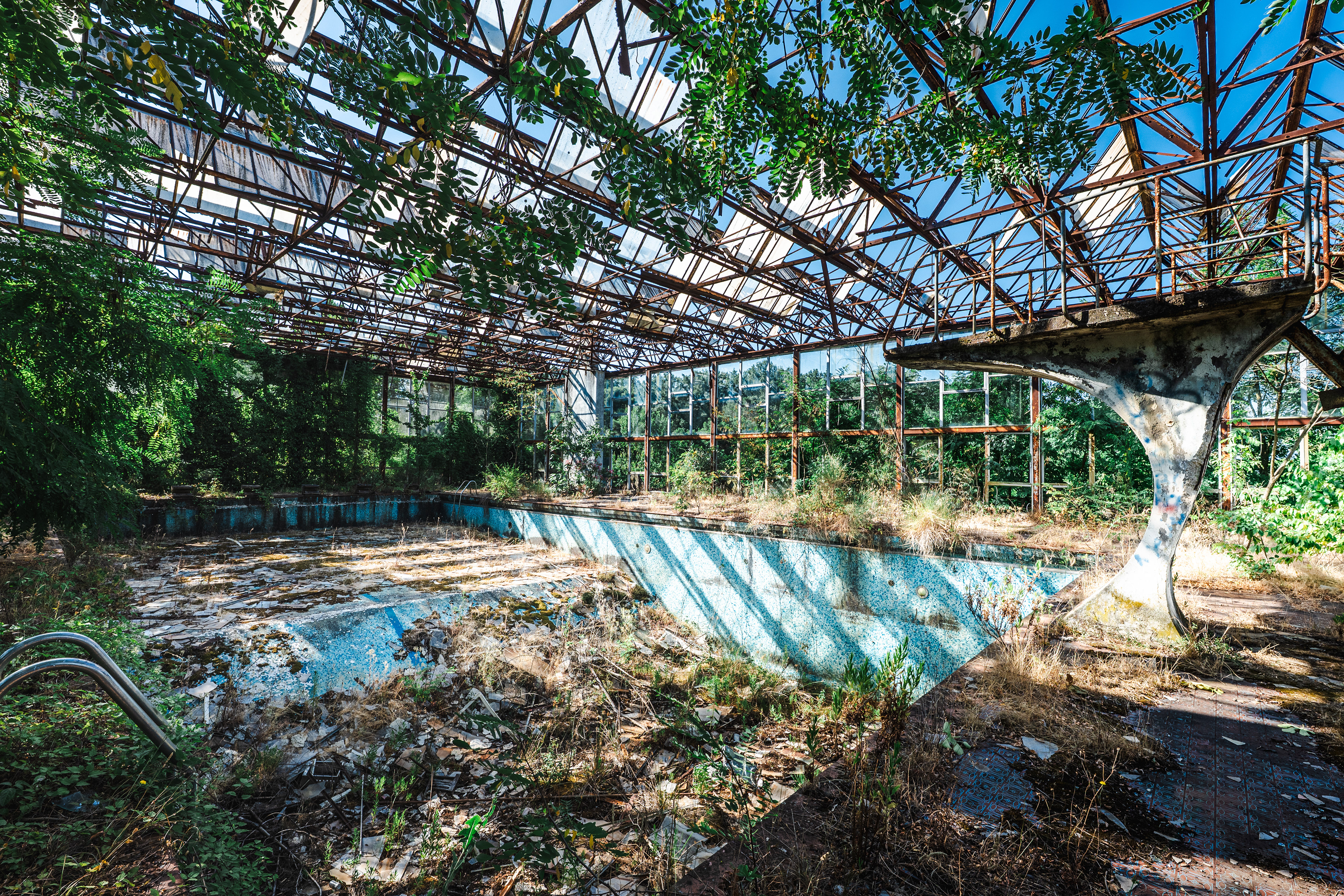 Piscine végétale