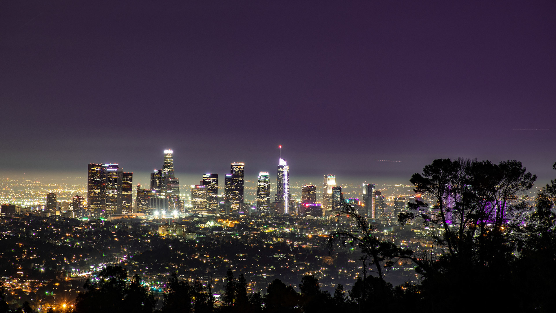 La La Land