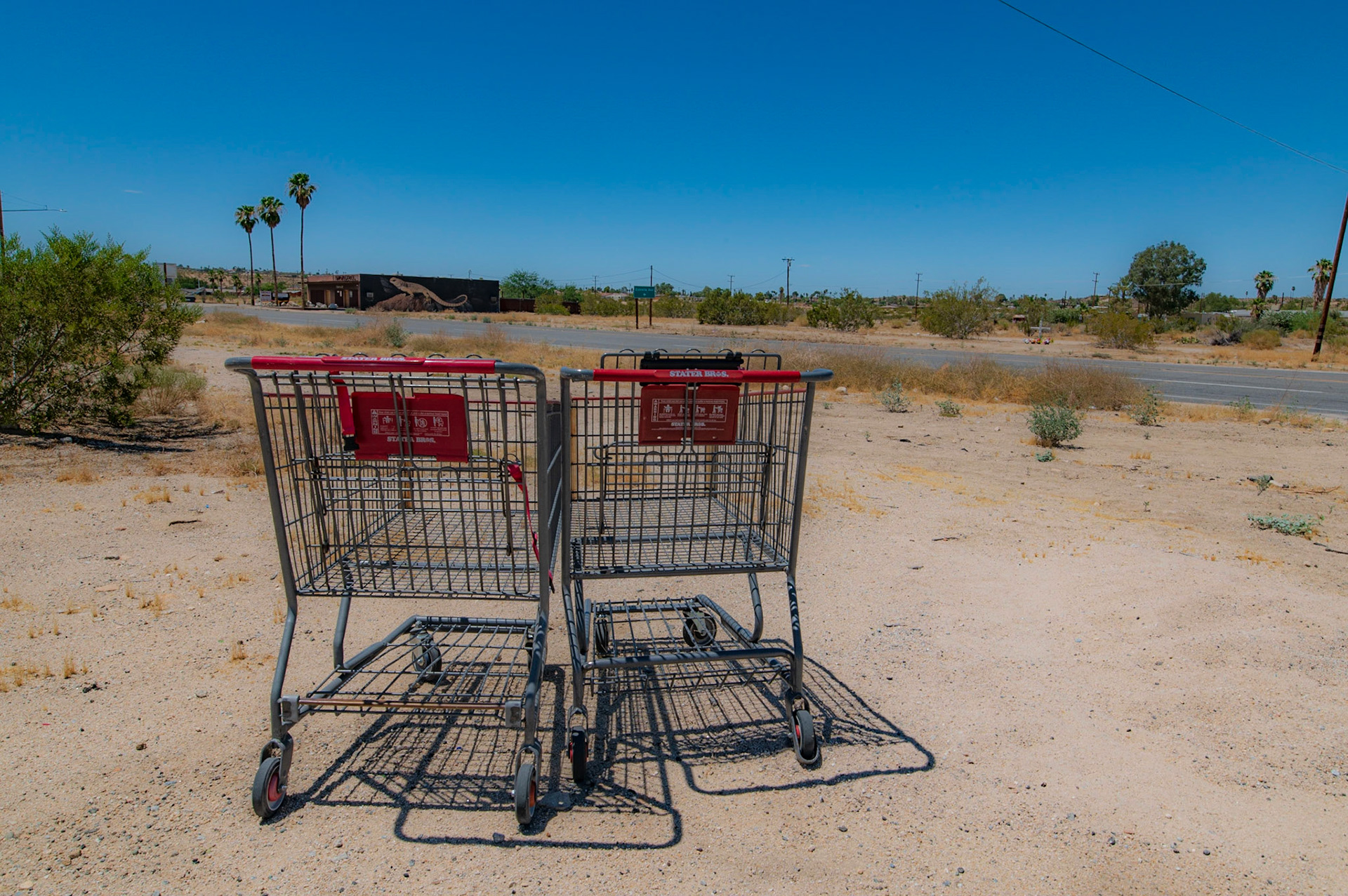 At Least They HAve Each Other