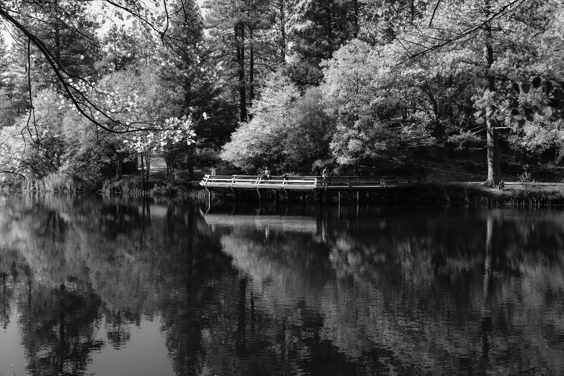 Peaceful Afternoon