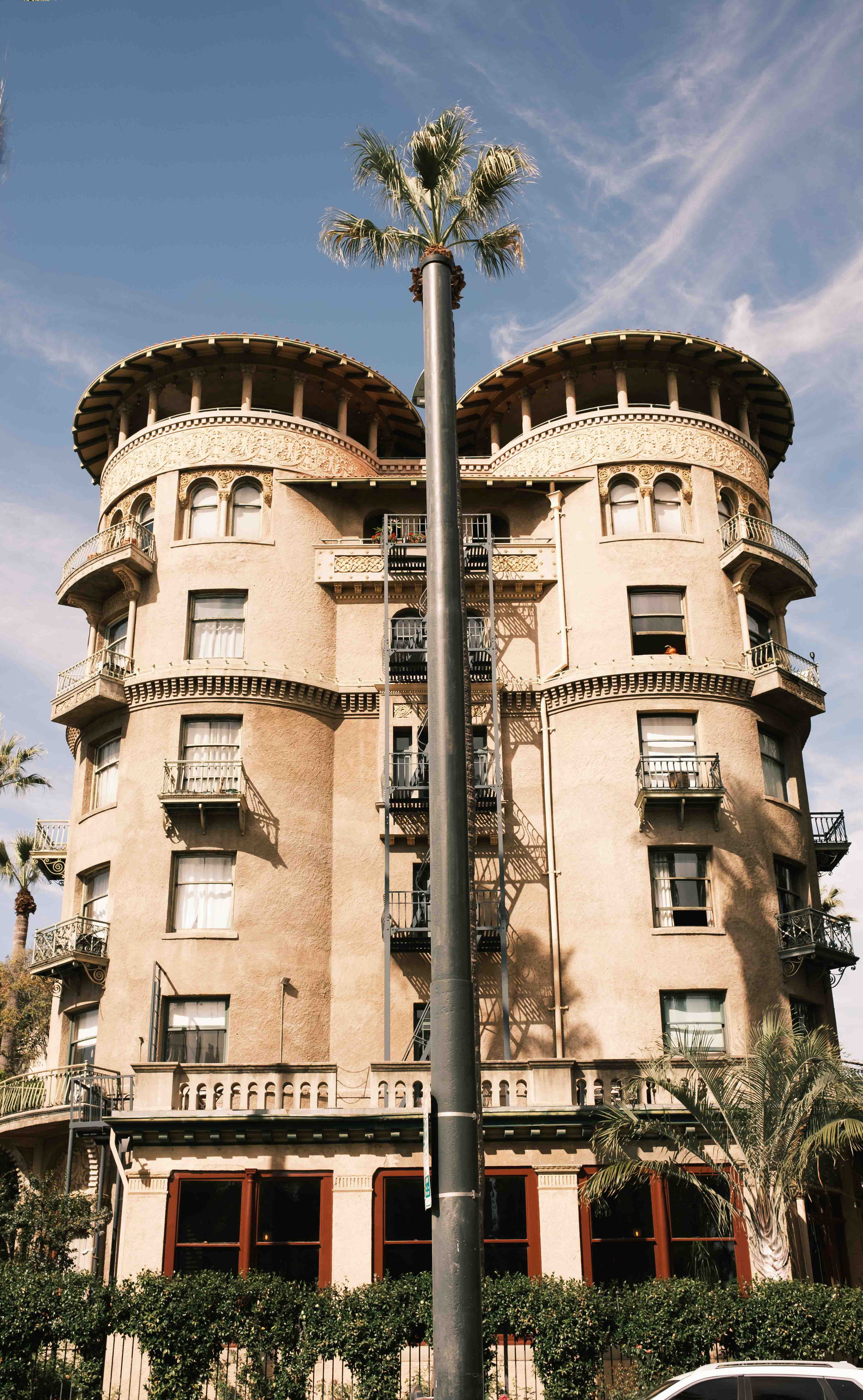 Two Towers and a Palm