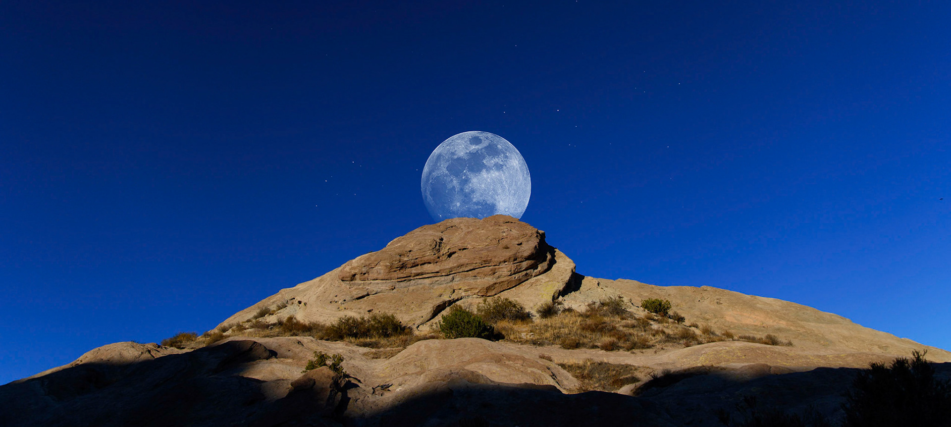Desert Globe