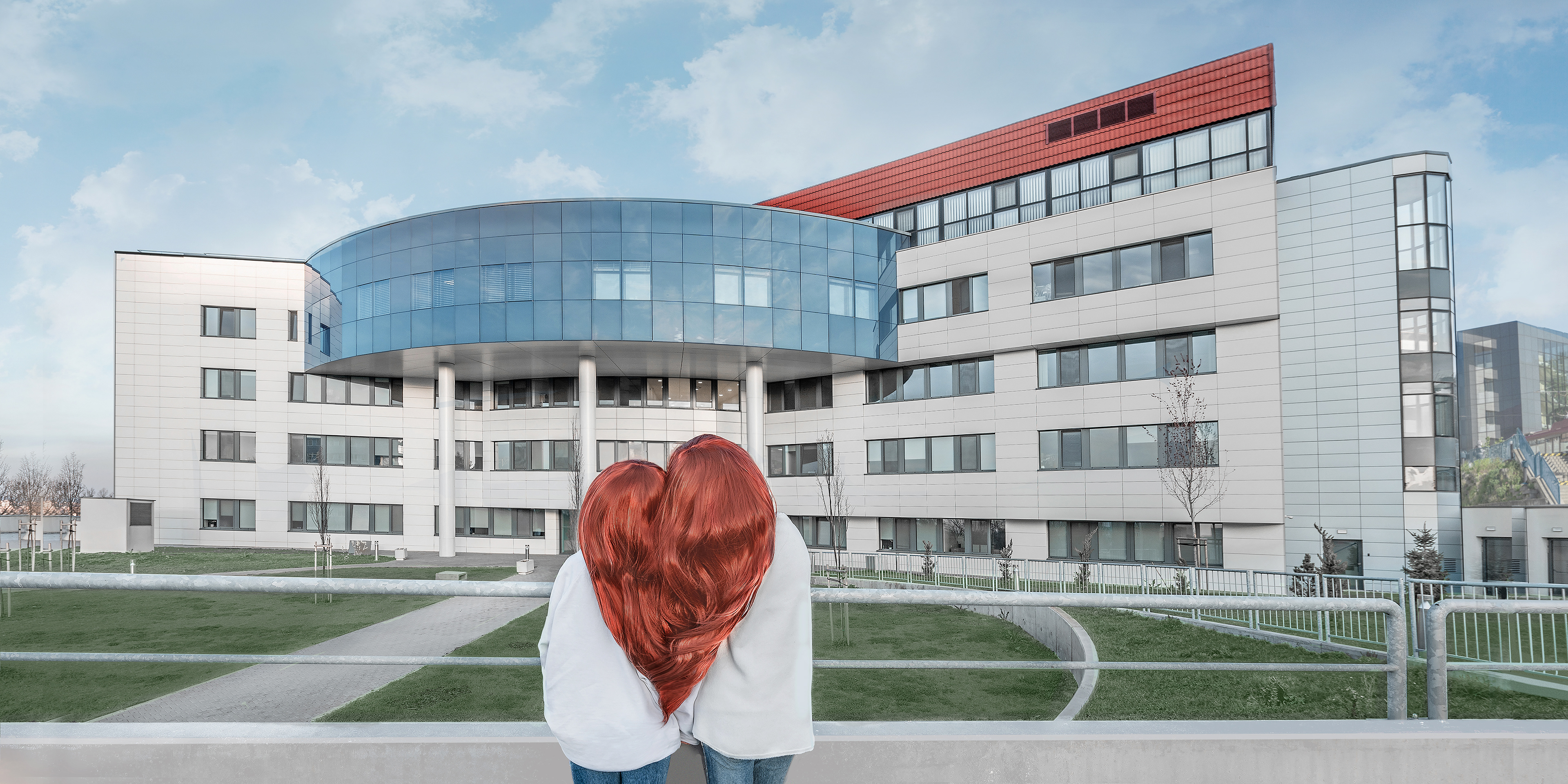 The National Institute for Cardiovascular Diseases