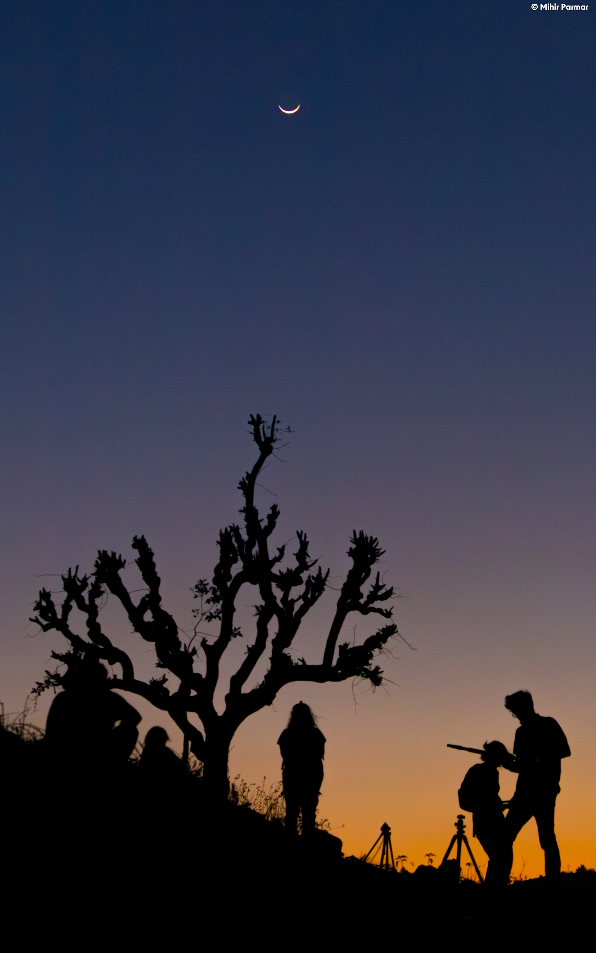 Twilight Saga of the Photographers