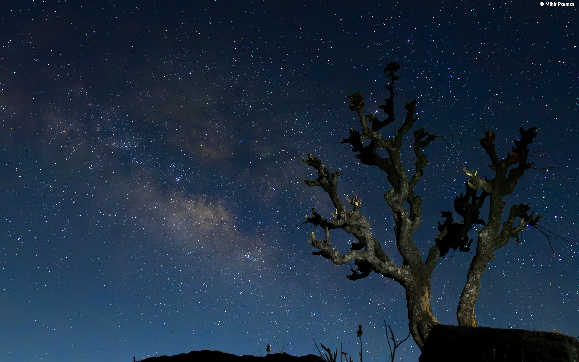 The Starry Sky Affair Pt. 1