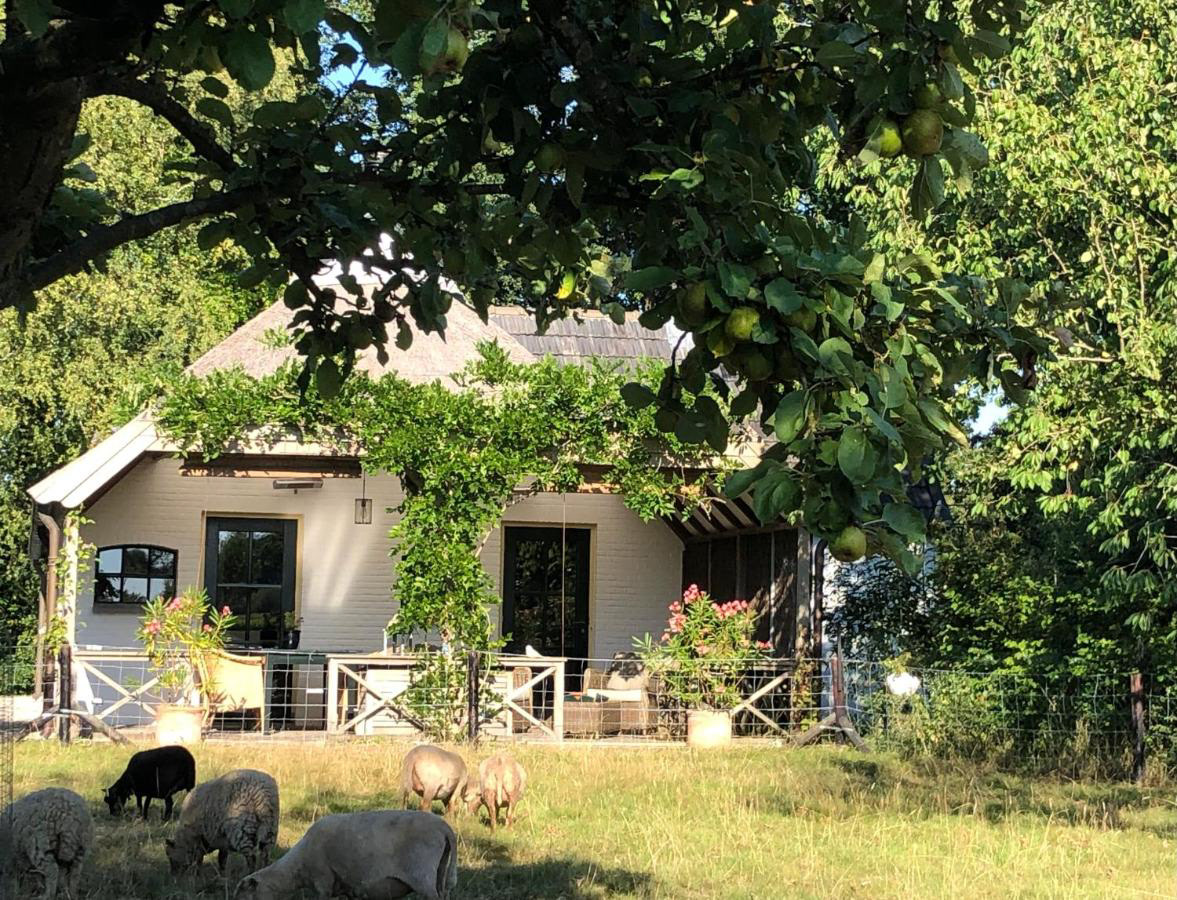 The referenced house