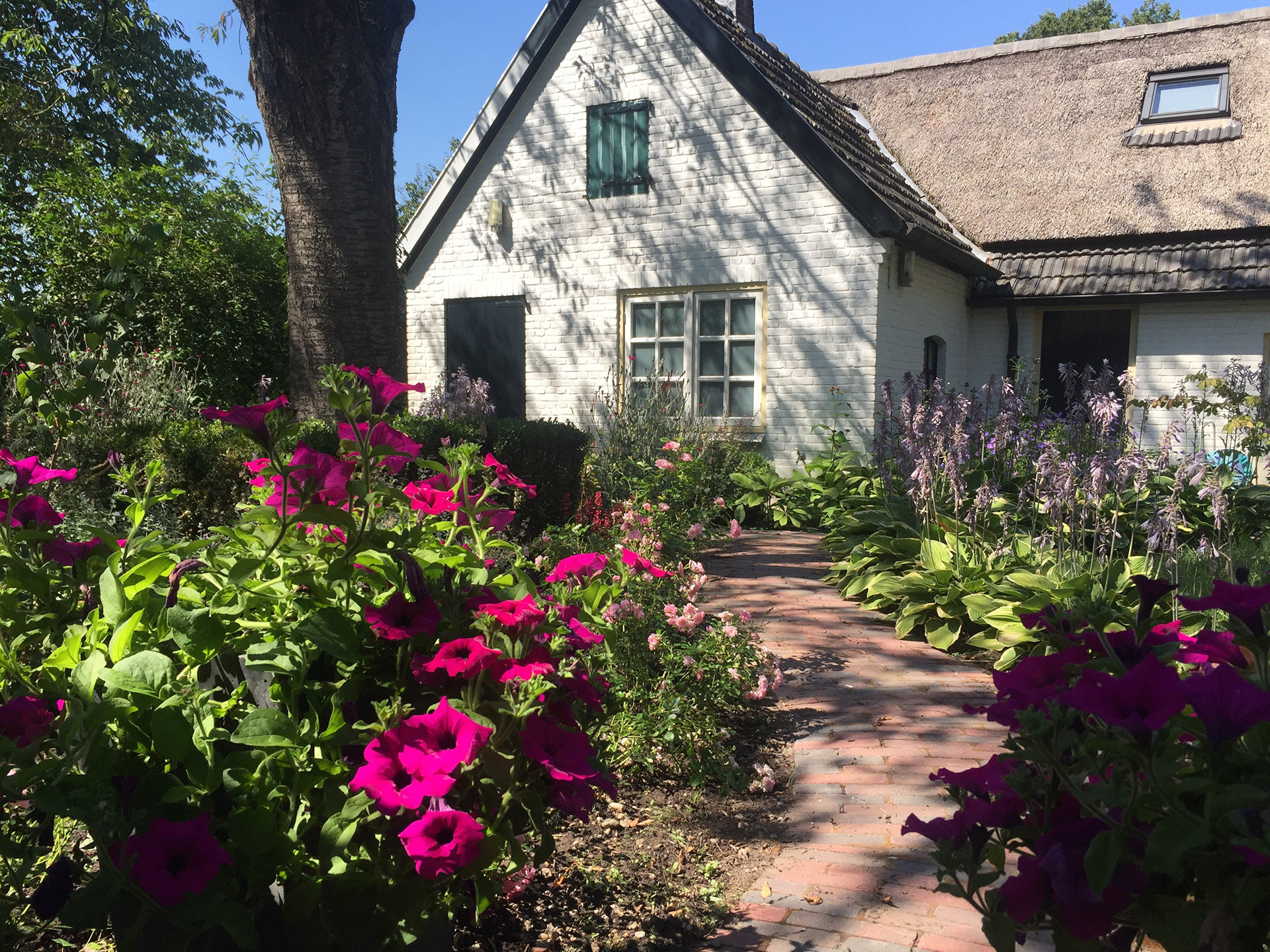 The referenced house