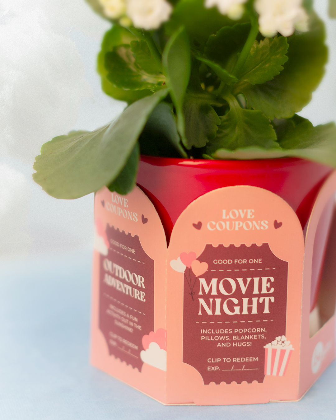 Valentine's "Coupon" Packaging