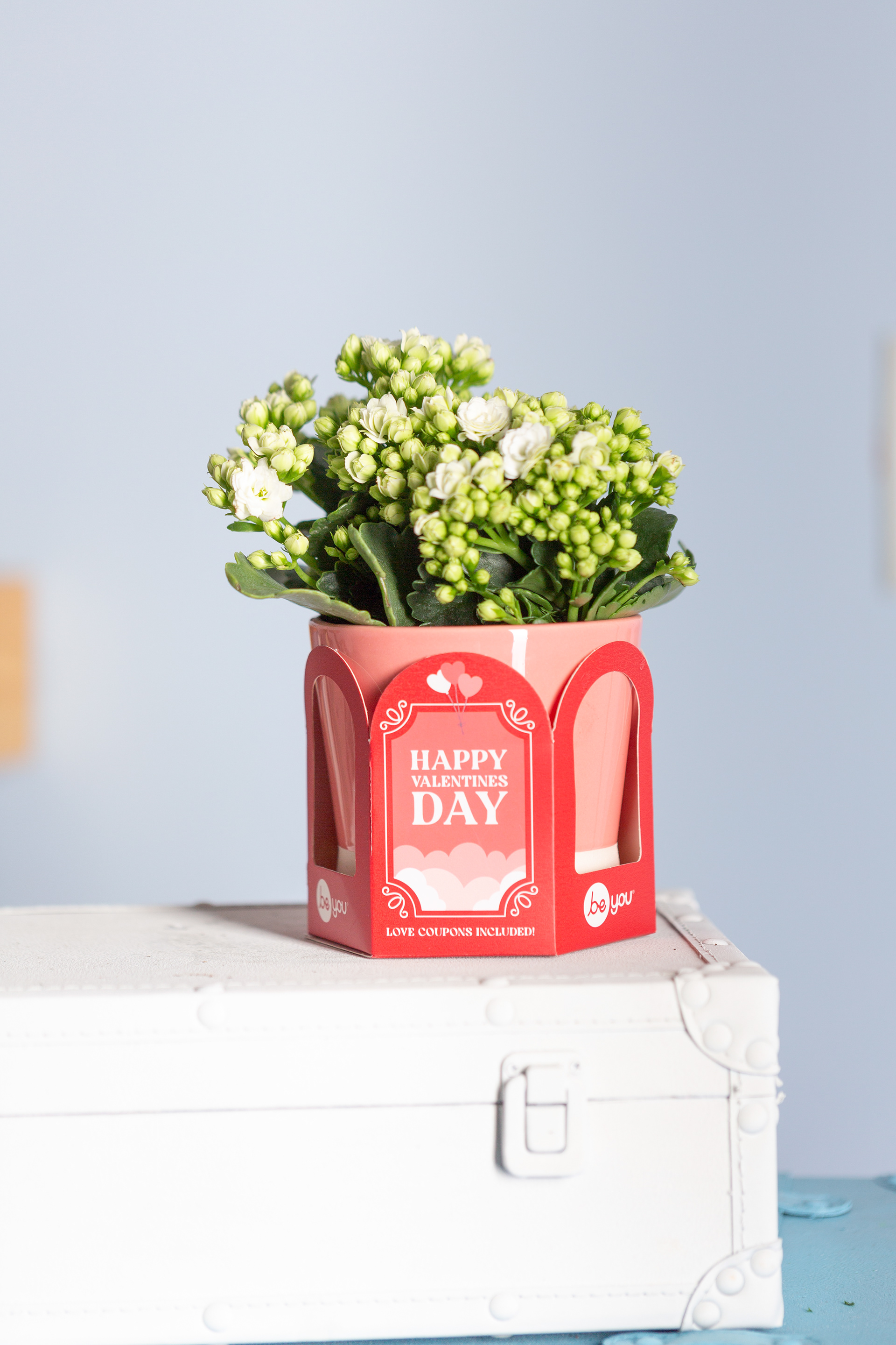 Valentine's "Coupon" Packaging