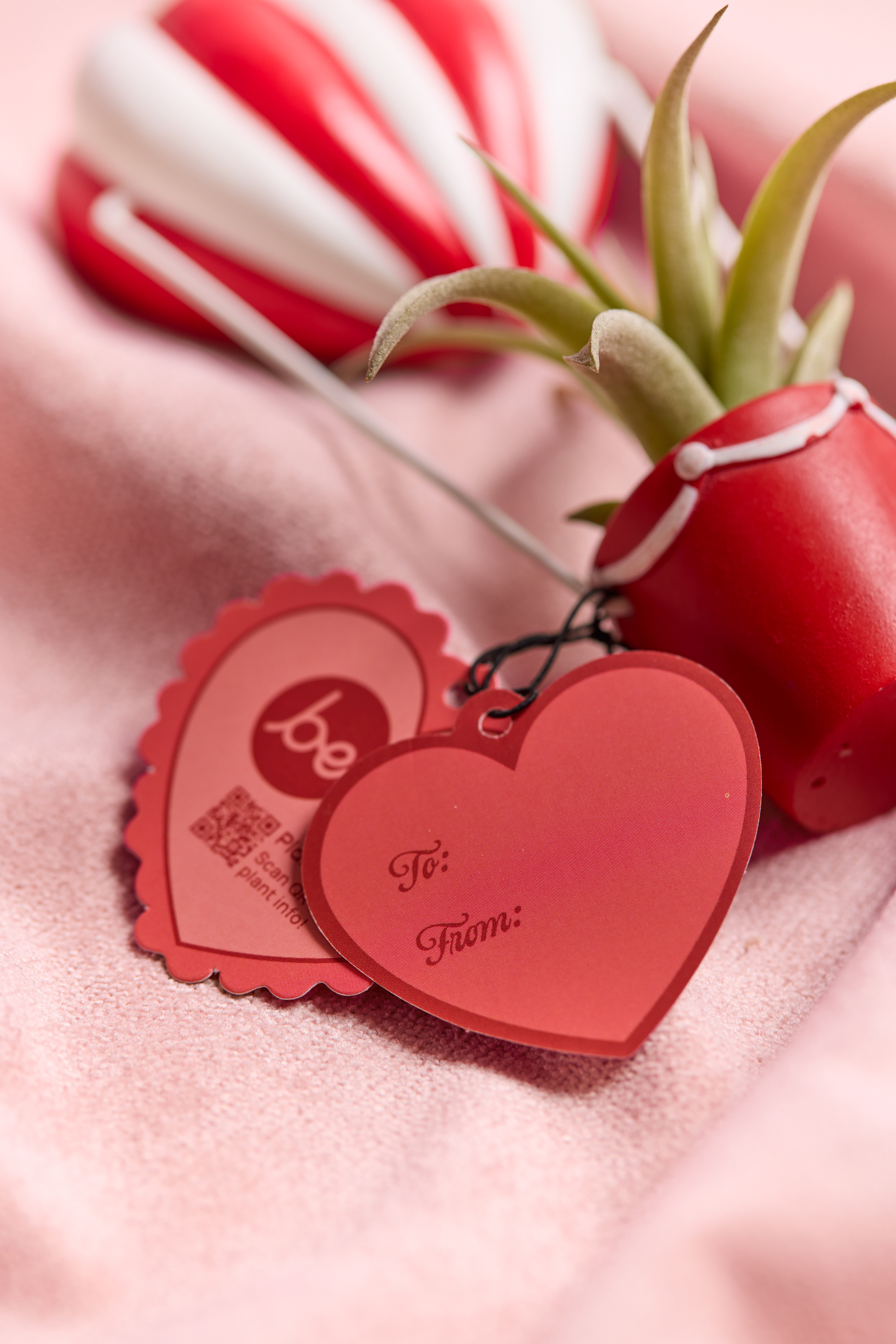 Gifting Tag