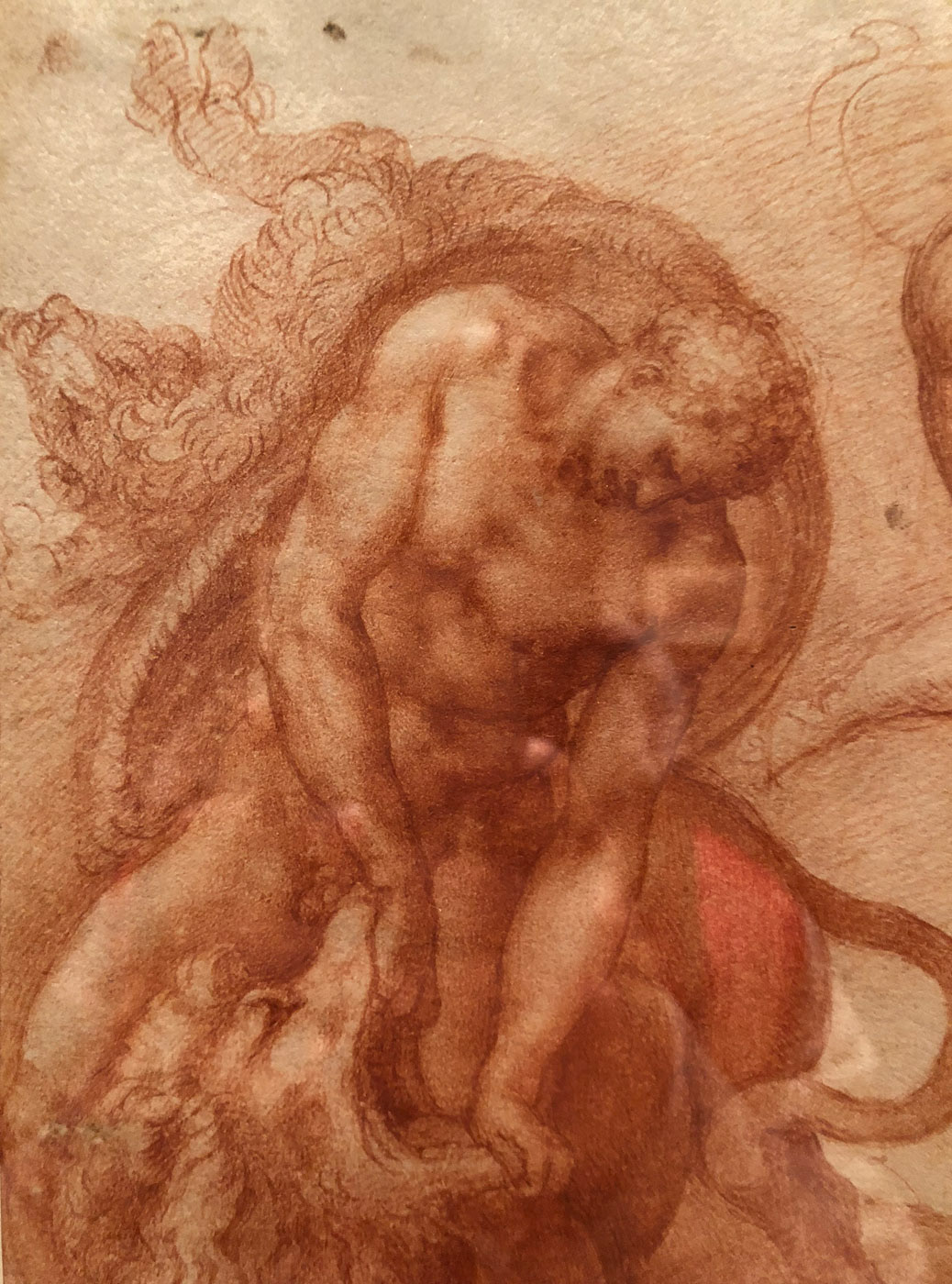 tommaso dei cavalieri michelangelo