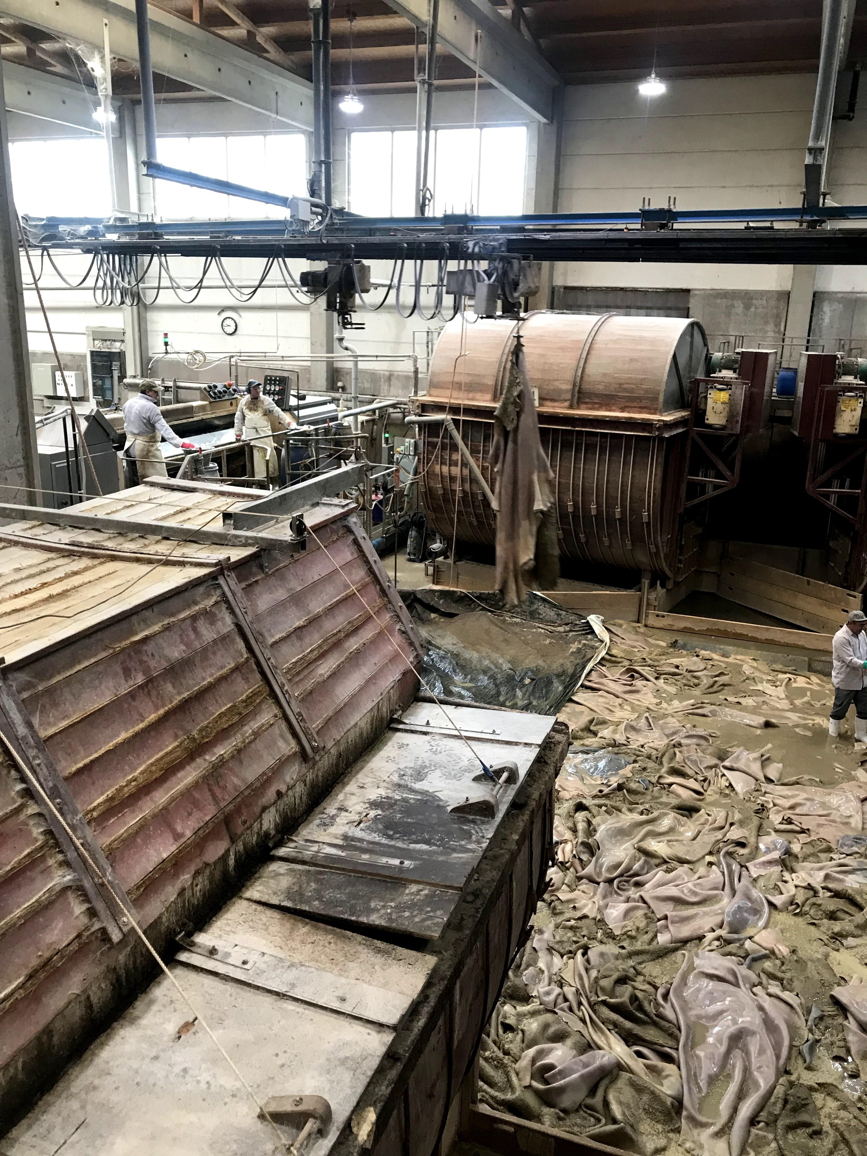 3.	Na de eerste schoonmaakronde worden de huiden gesplit en daarna nogmaals schoongemaakt.