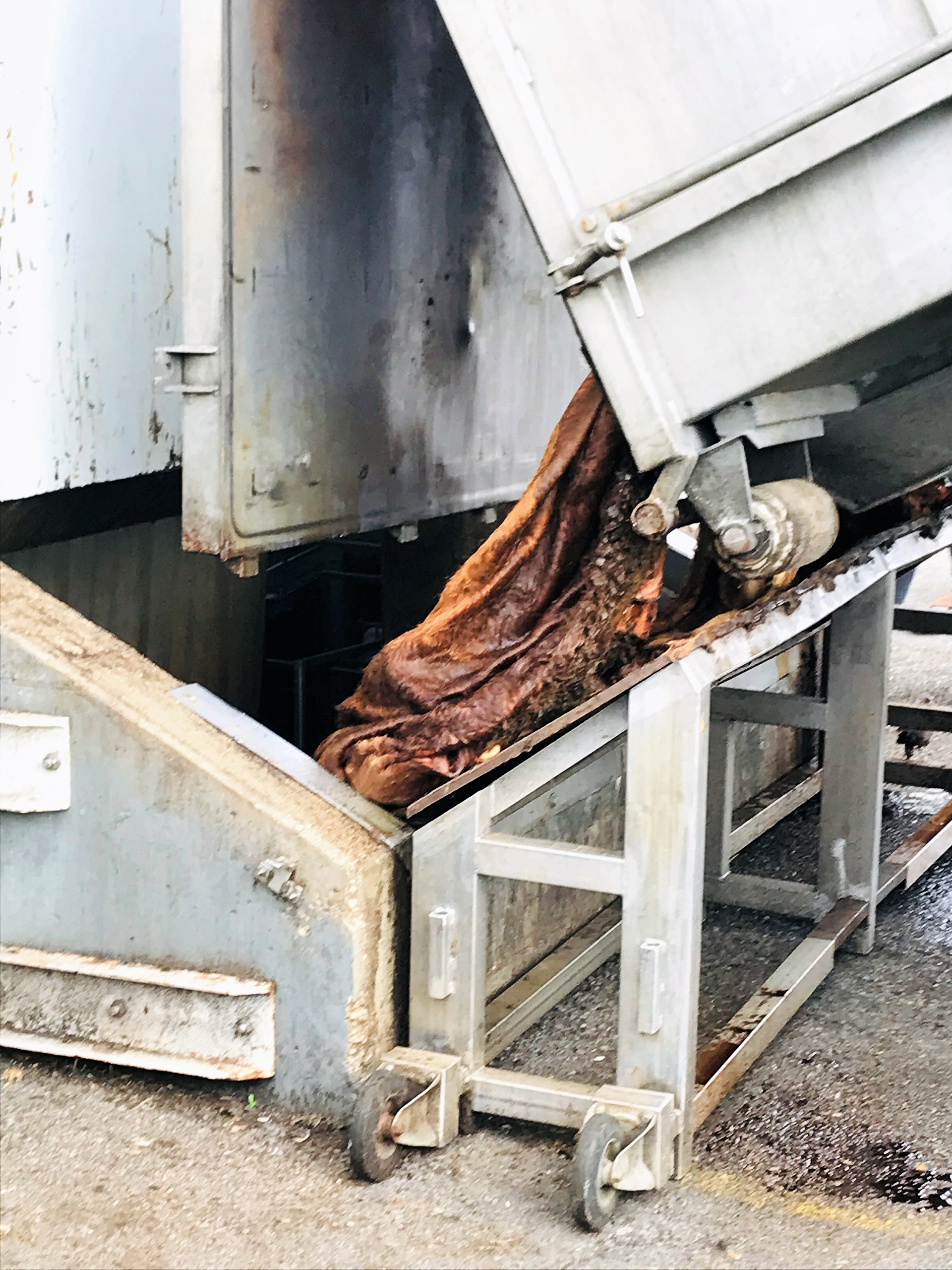 1.	De ruwe huiden komen binnen, zelfs de fabriek weet nog niet wat voor kwaliteit huiden ze binnen krijgen. Deze huiden zijn slachtafval, zo gaat er niets onnodig verloren.