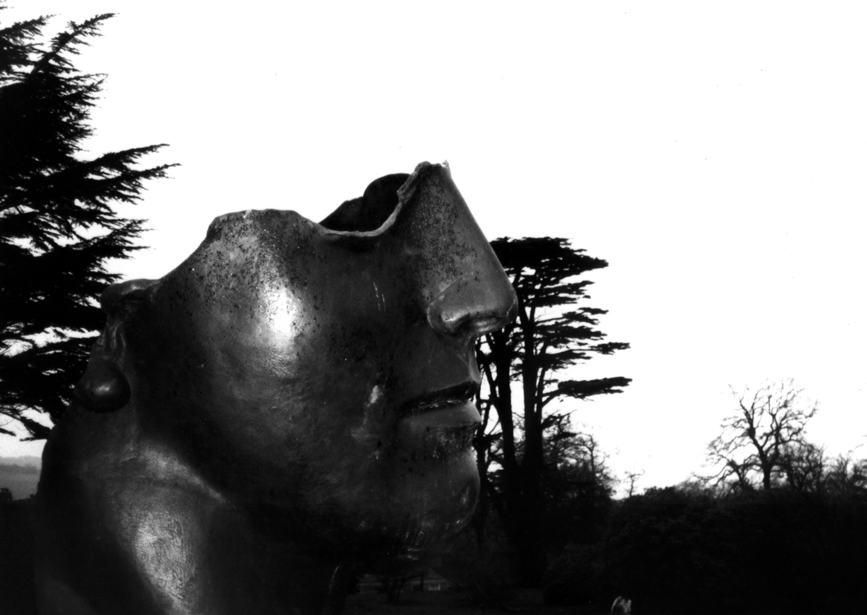 Photograph by soul creative