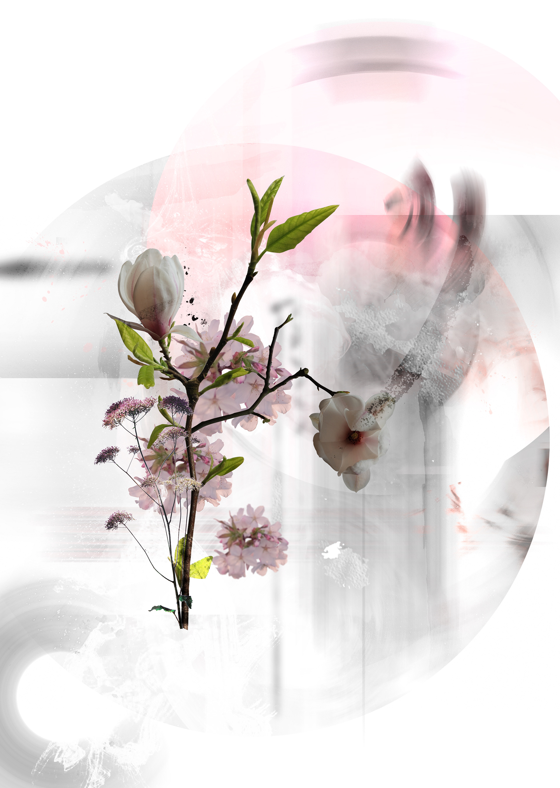 Designed by soul creative aw09 ef2022