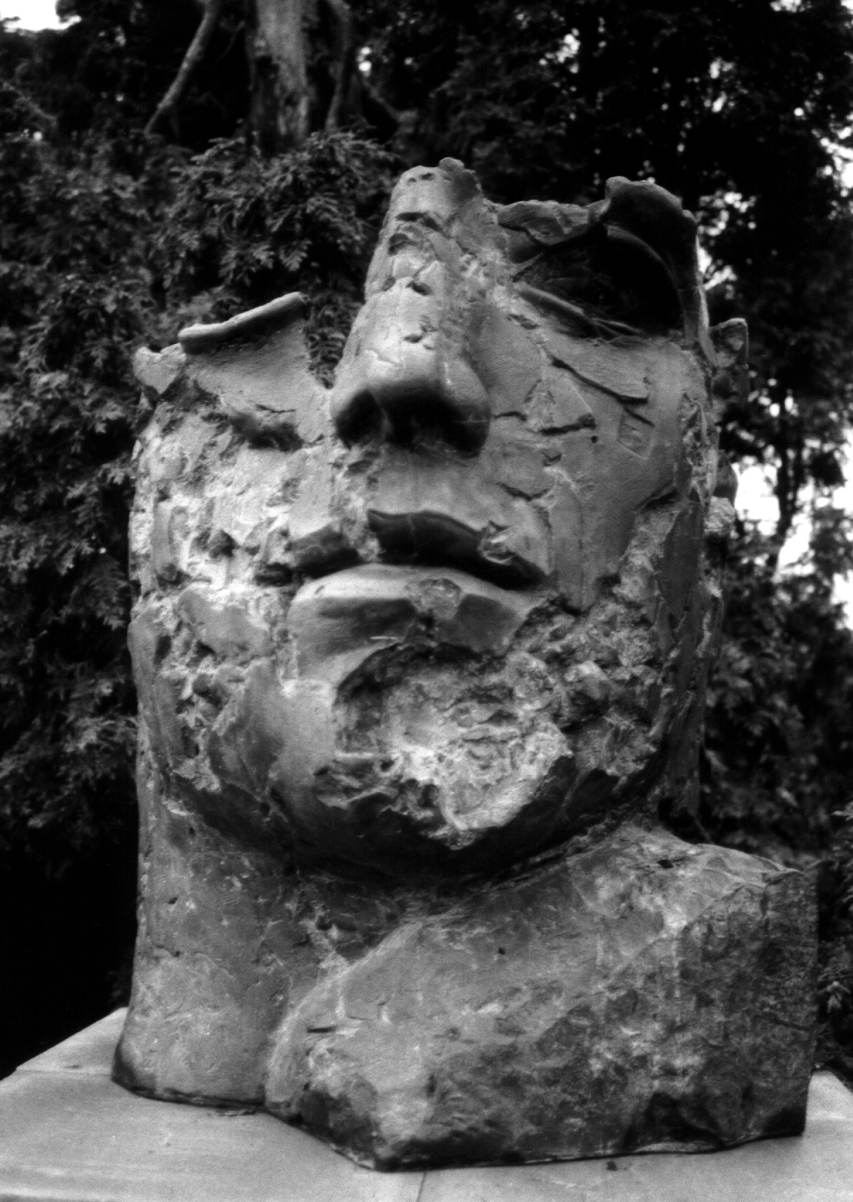 Photograph by soul creative