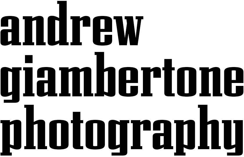Andrew Giambertone