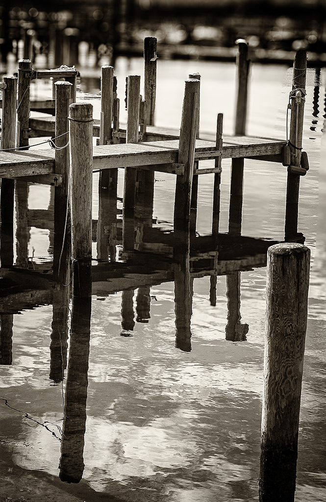 Martha's Vineyard 5