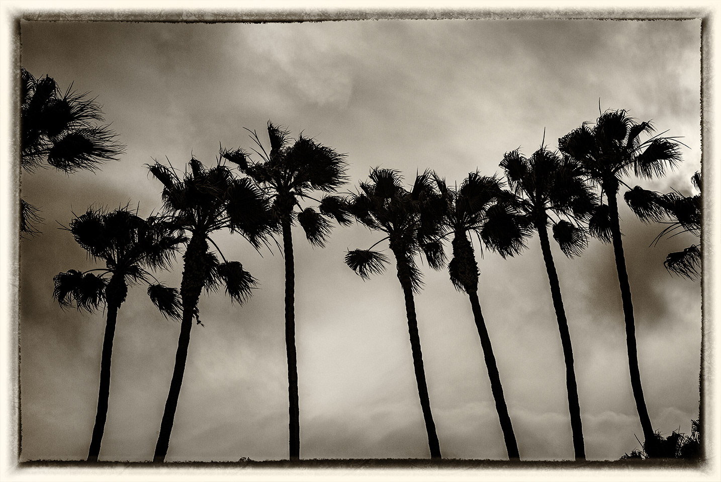 Santa Monica 17