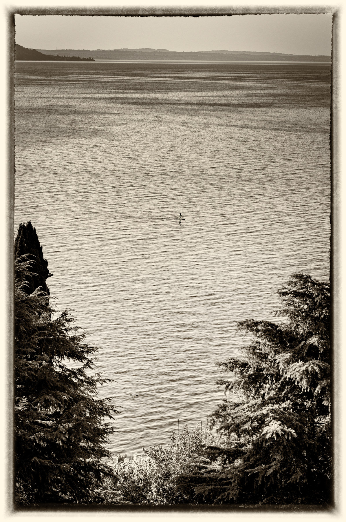 Paddle