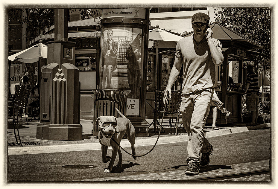 The Grove 11