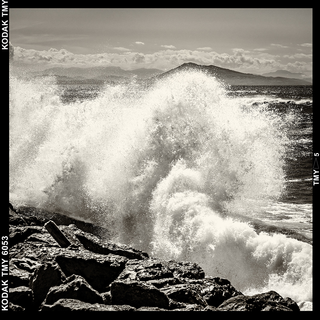 Wave