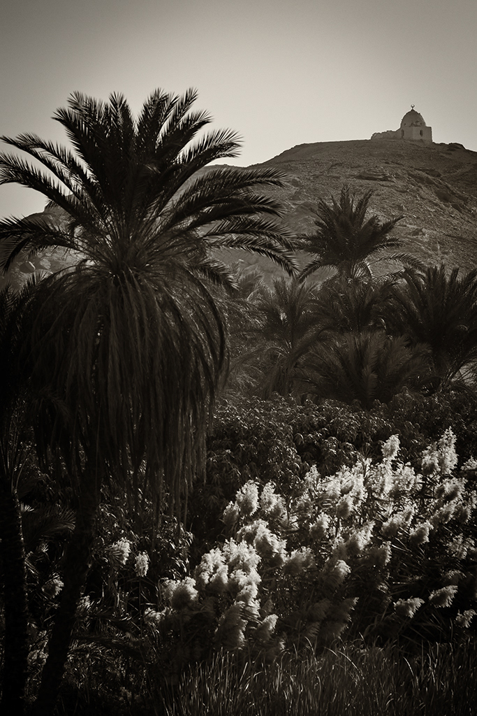 Sur les Bords du Nil
