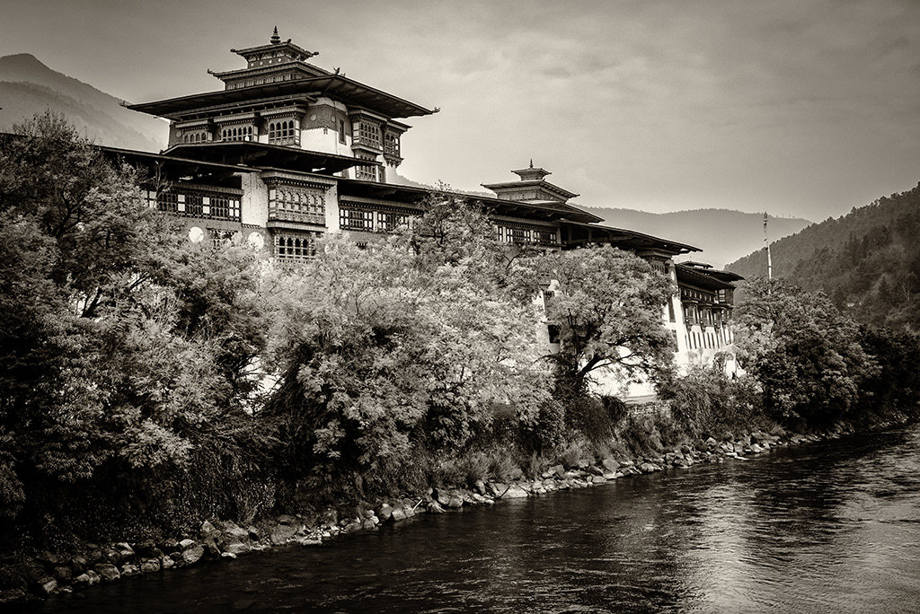 Dzong de Punakha 2