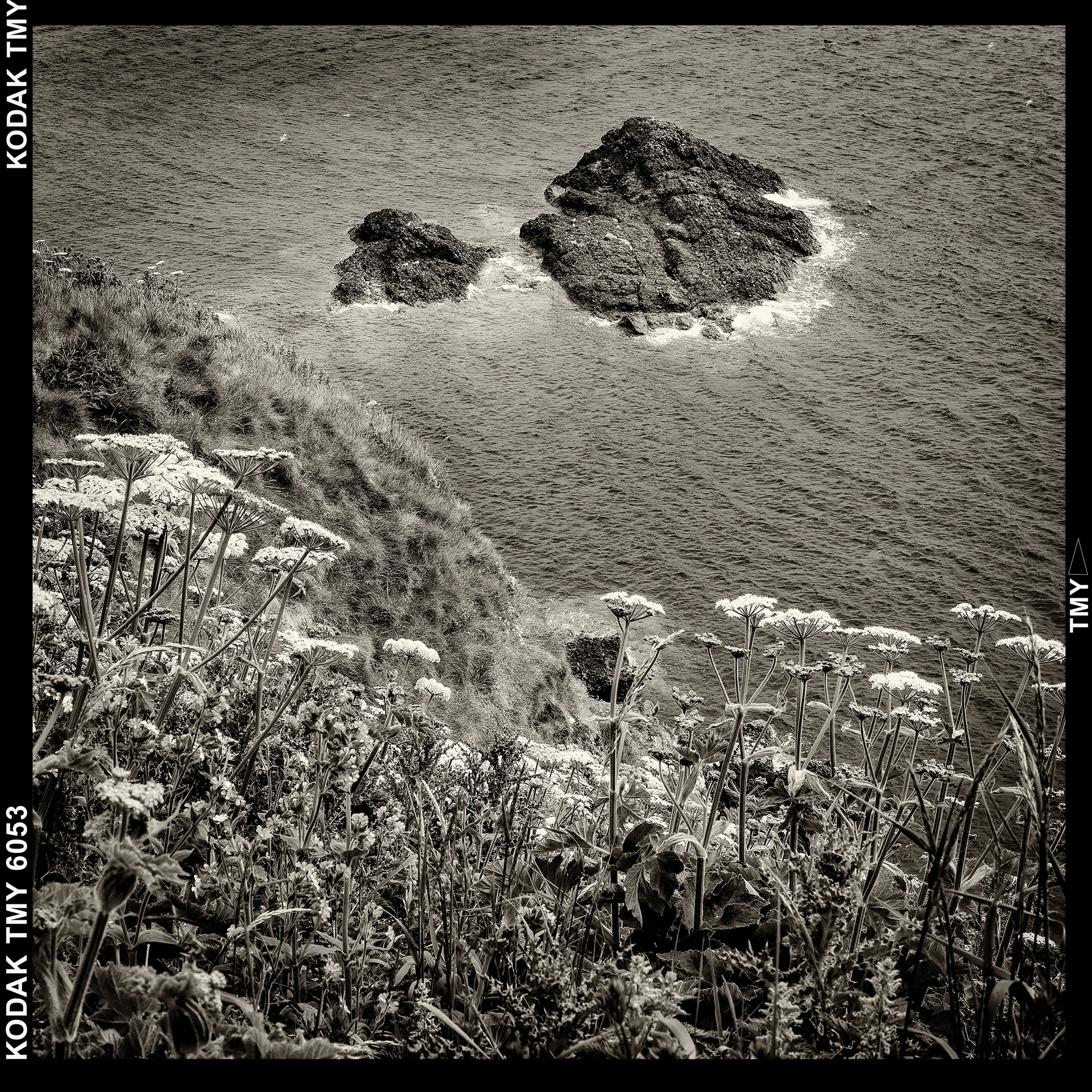 Dunnottar 2
