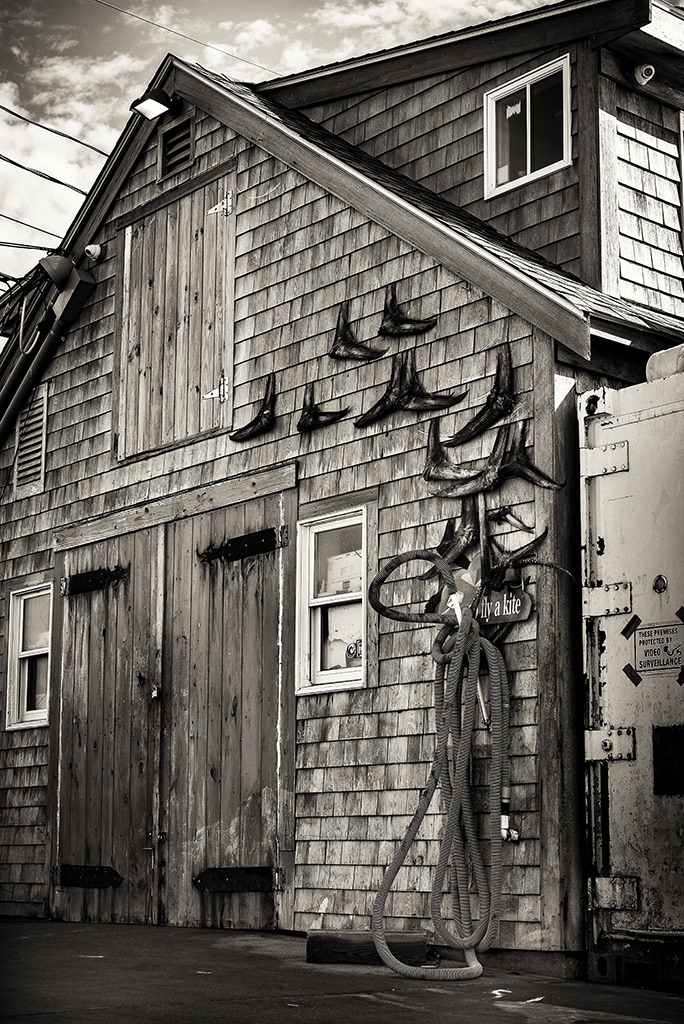Martha's Vineyard 3