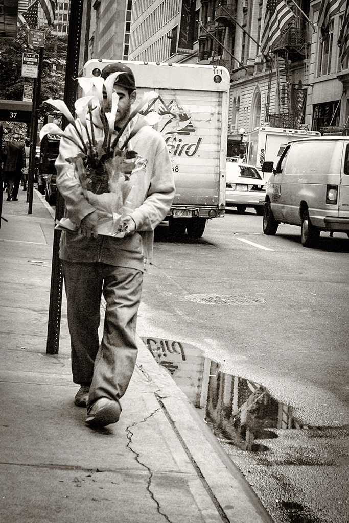 14. 44th St