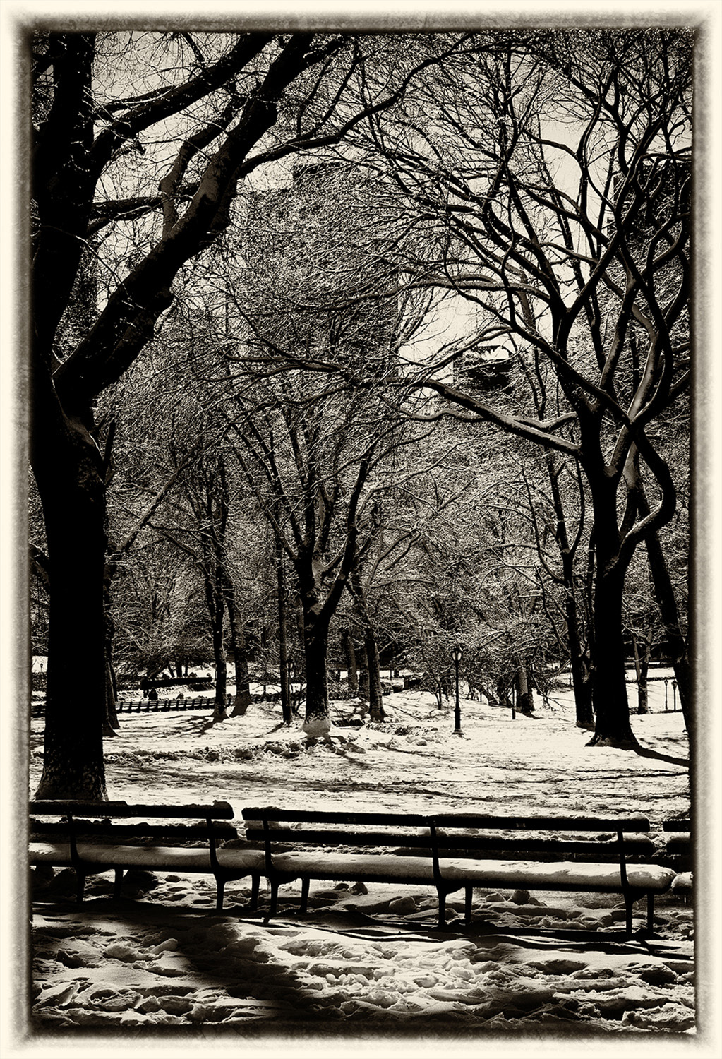 Central Park snow