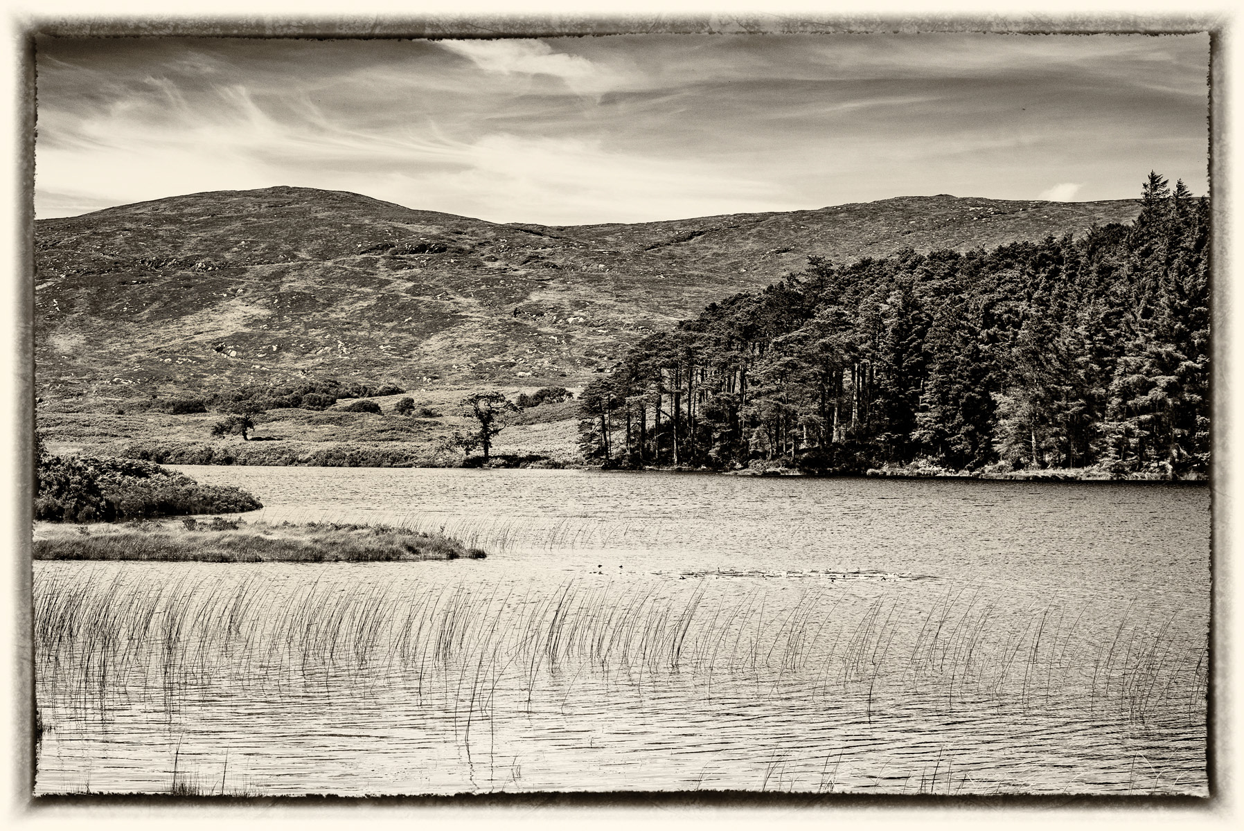 Glenveagh