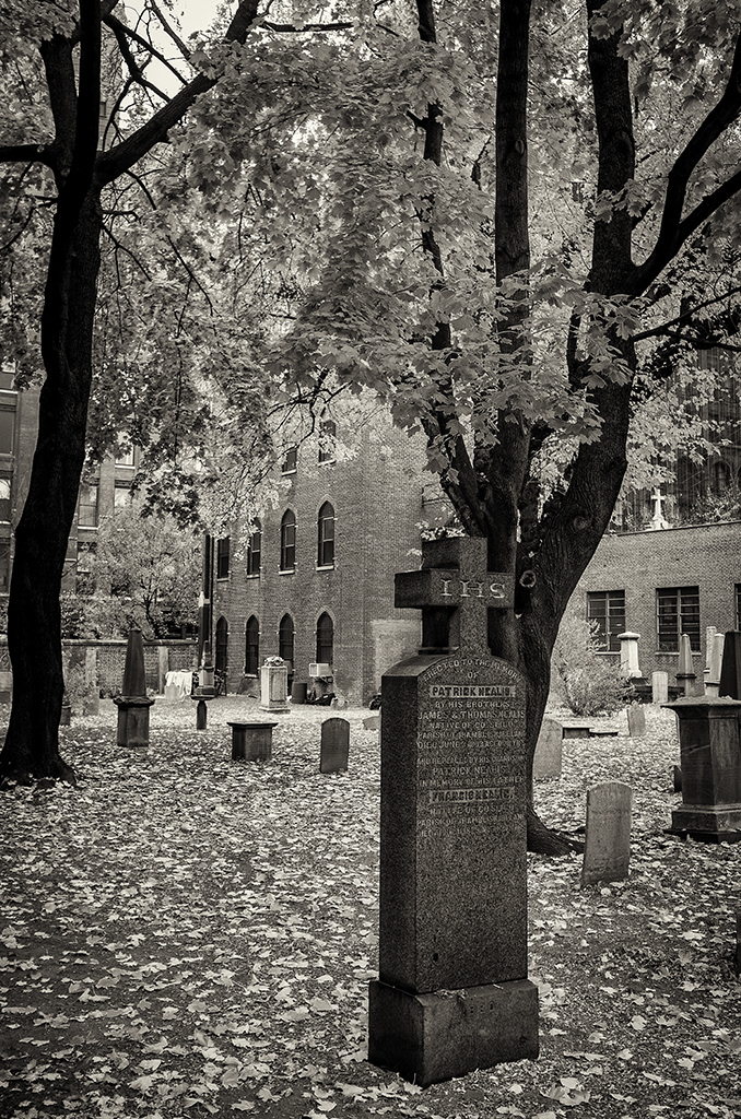 Mulberry St