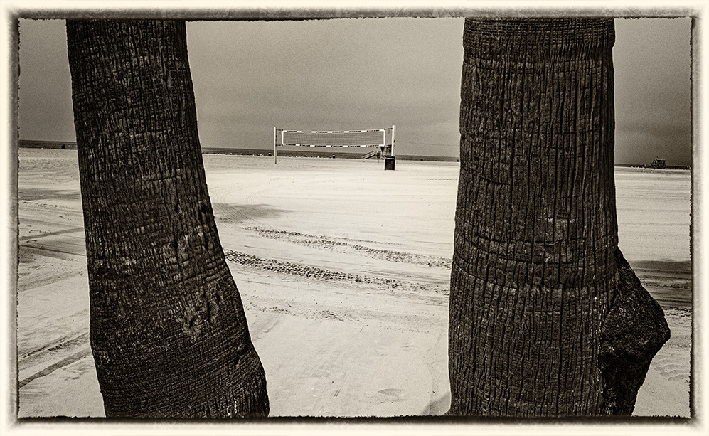 Venice Beach 29