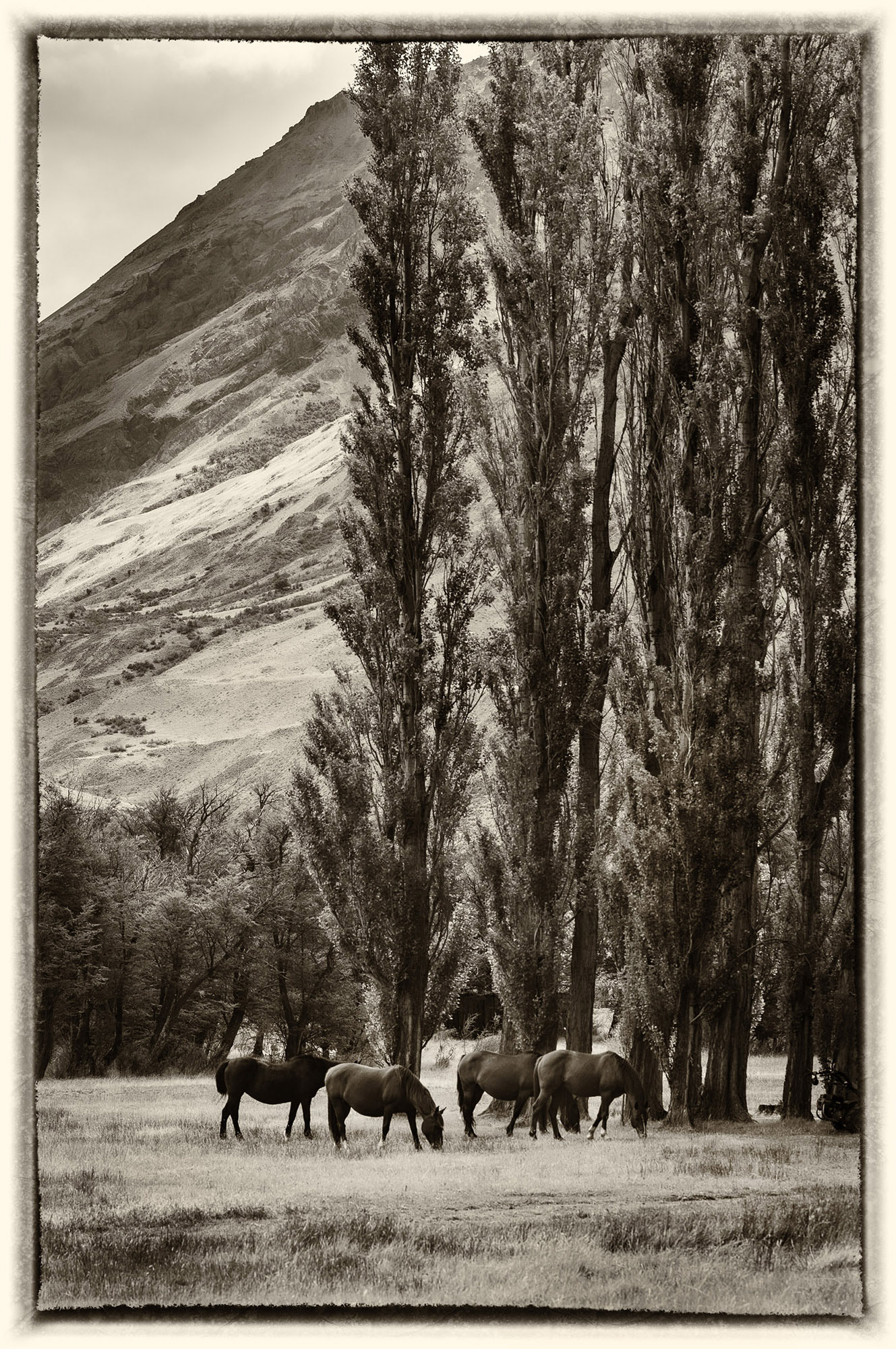 25 Patagonie