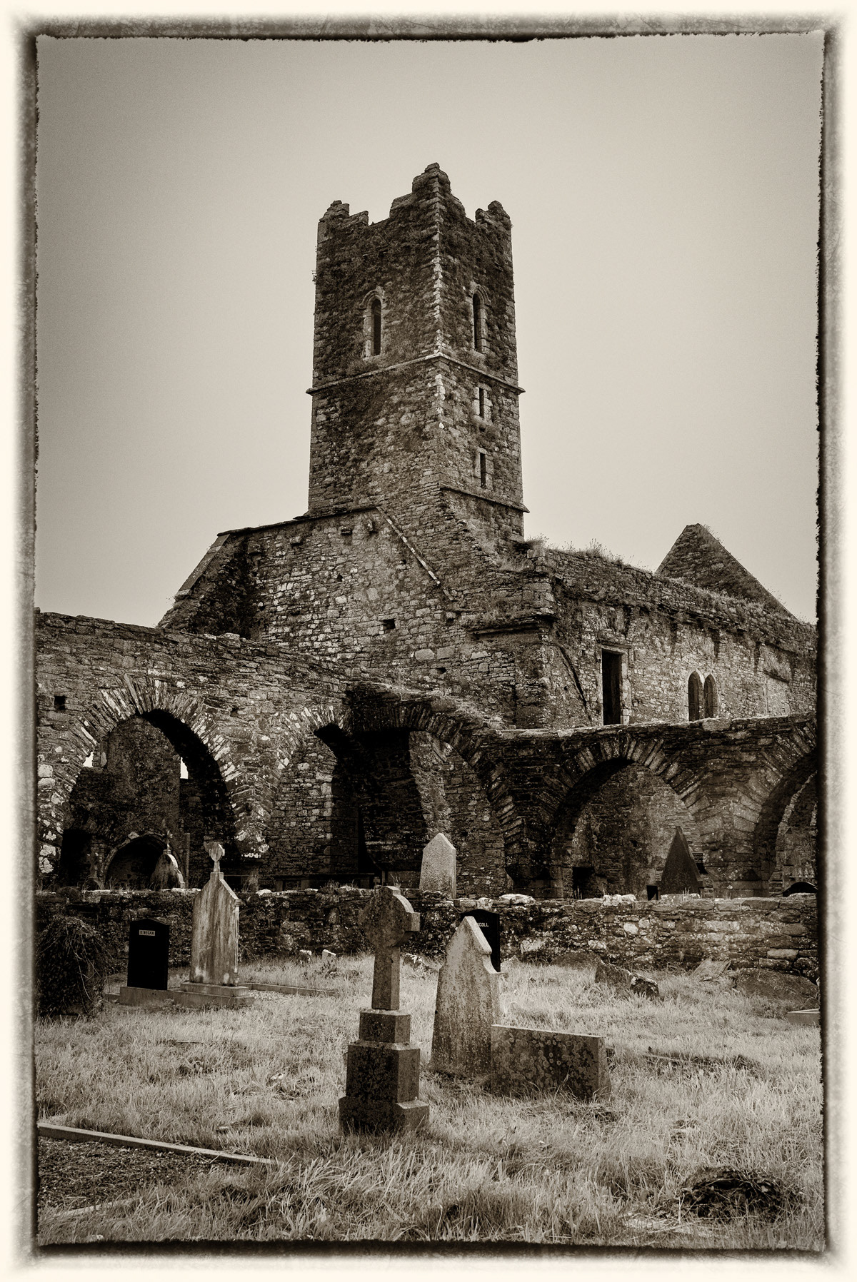 Timoleague Abbey