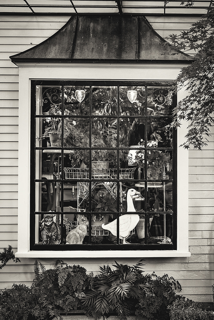 Edgartown Martha's Vineyard