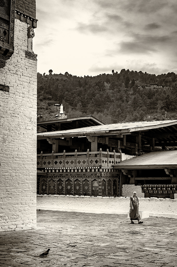 Dzong de Punakha 8