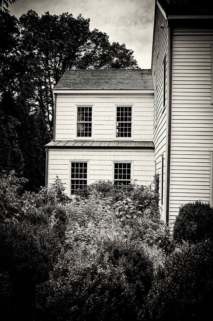 Sag Harbor 3