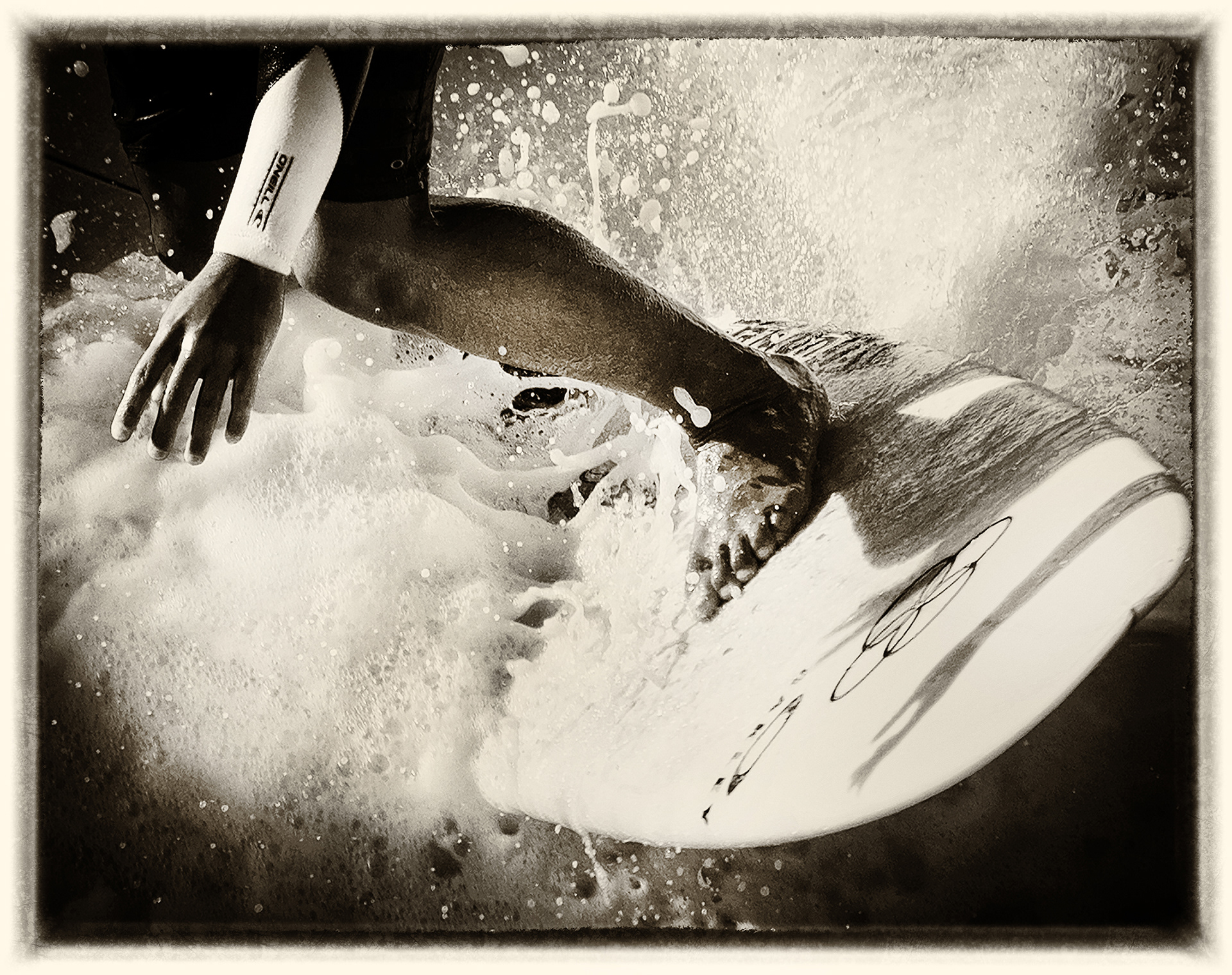 North Shore 7