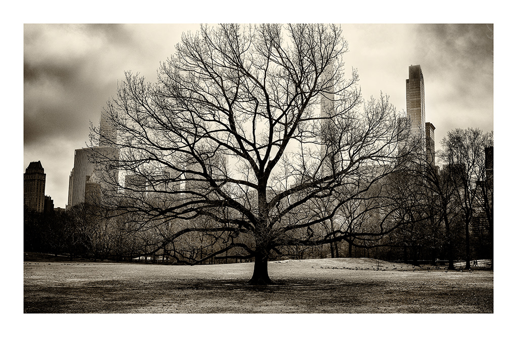 Central Park 3