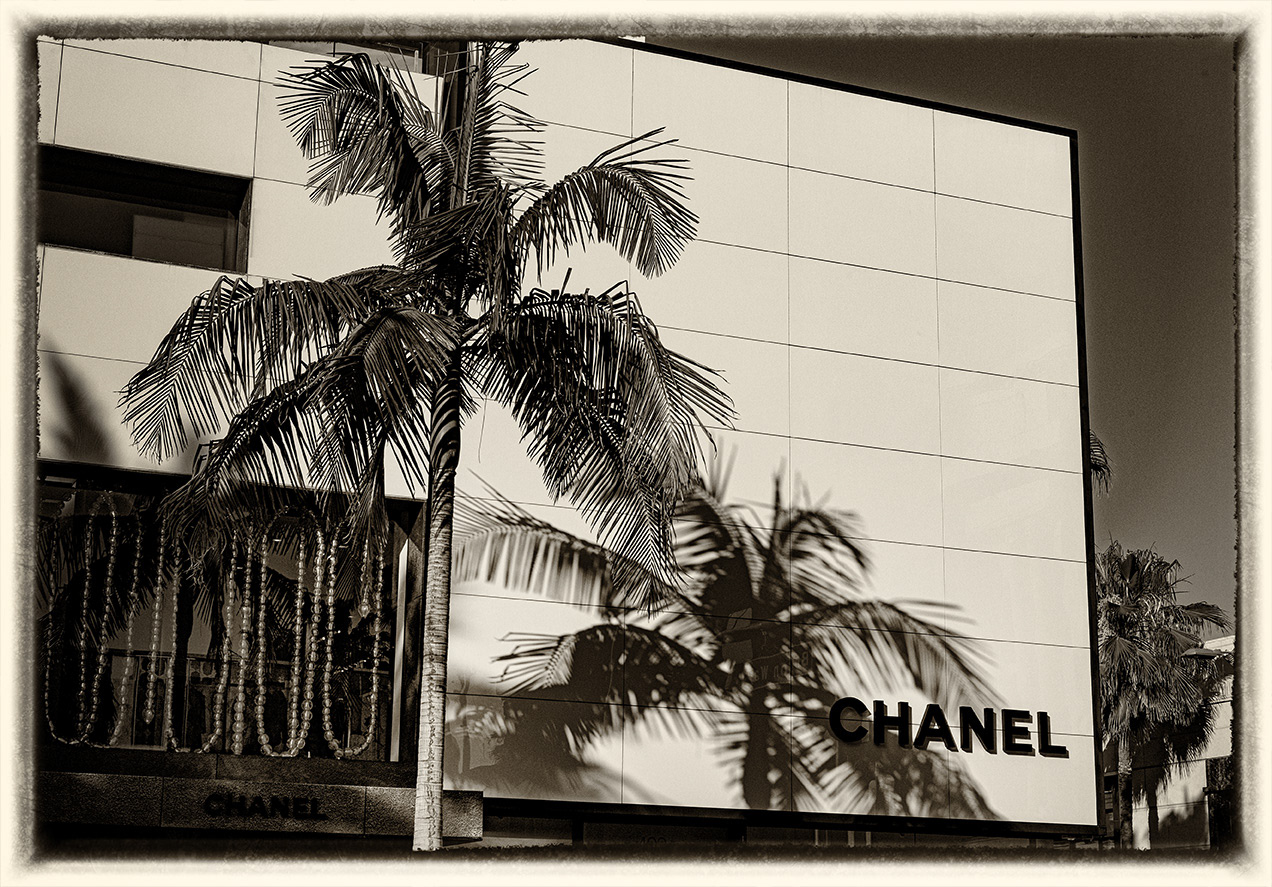 Rodeo Drive 19